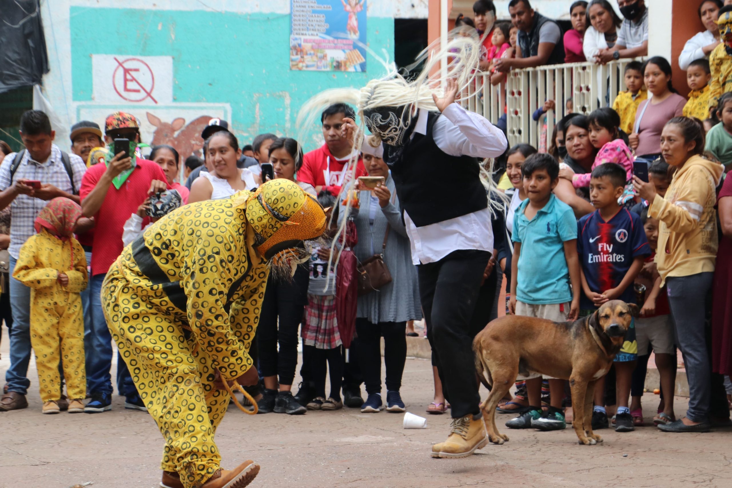 Antonia-Danza-copia-2-scaled